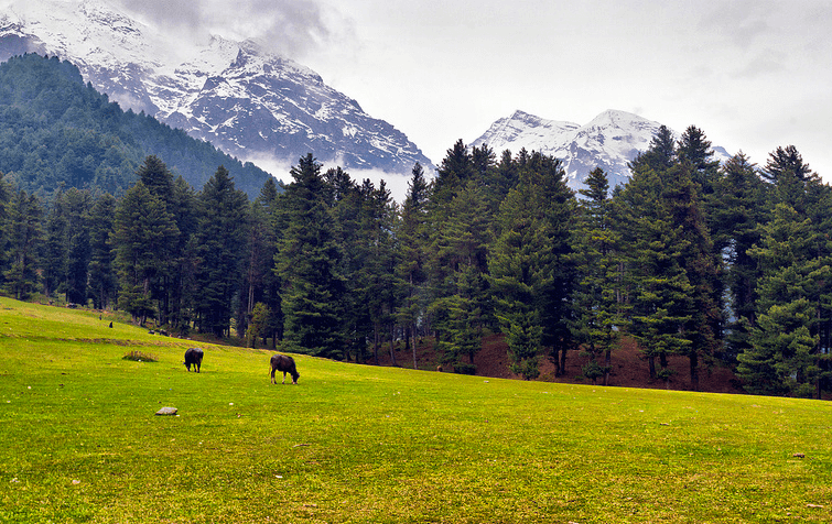 baisaran-hills-valley-img